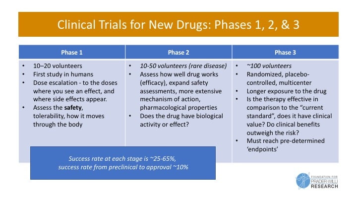 Stages Of Drug Development